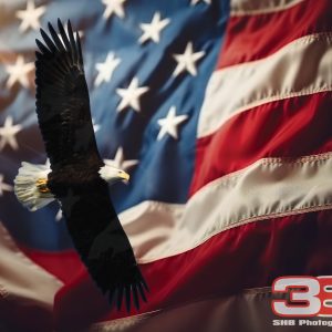 Patriotic/Military 4