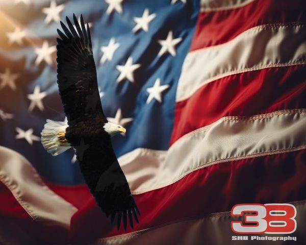 Patriotic/Military 4
