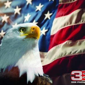 Patriotic/Military 5
