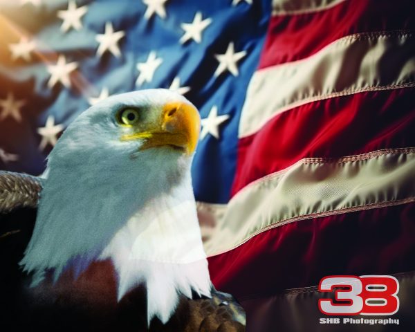 Patriotic/Military 5