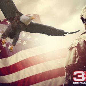 Patriotic/Military 7