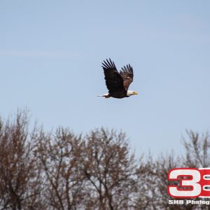 Nature 7