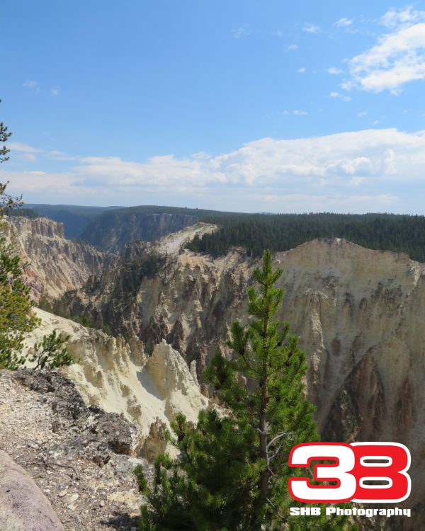 Yellowstone 3