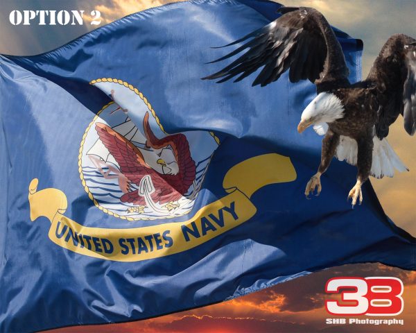 Patriotic/Military 10 - Image 2