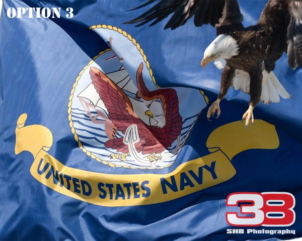 Patriotic/Military 10 - Image 3