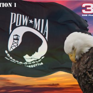Patriotic/Military 11
