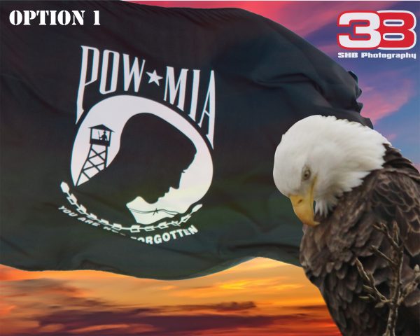 Patriotic/Military 11