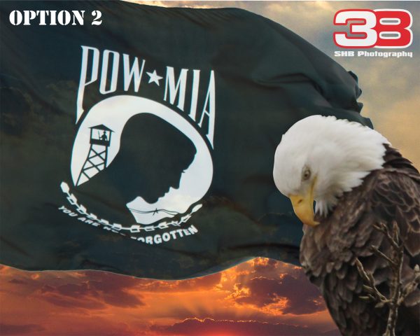 Patriotic/Military 11 - Image 2
