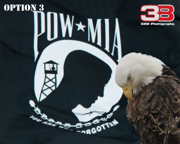 Patriotic/Military 11 - Image 3