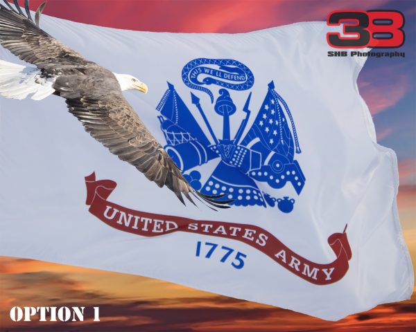 Patriotic/Military 12