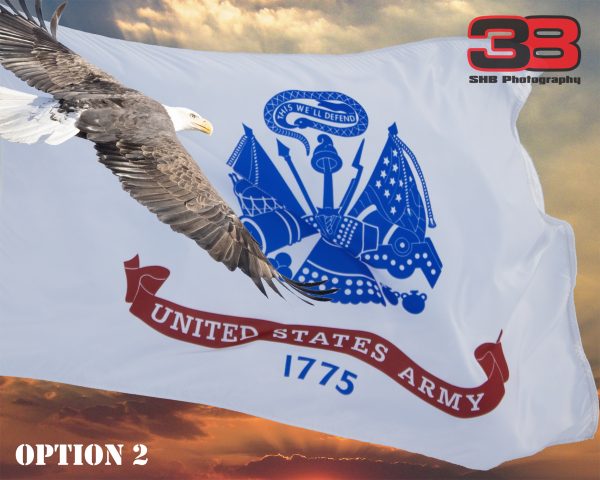 Patriotic/Military 12 - Image 2