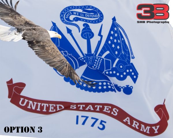 Patriotic/Military 12 - Image 3