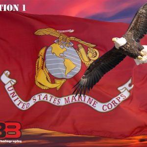 Patriotic/Military 13