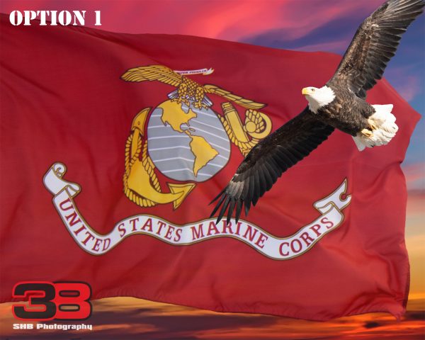 Patriotic/Military 13