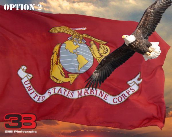 Patriotic/Military 13 - Image 2