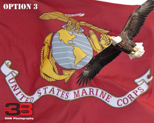 Patriotic/Military 13 - Image 3