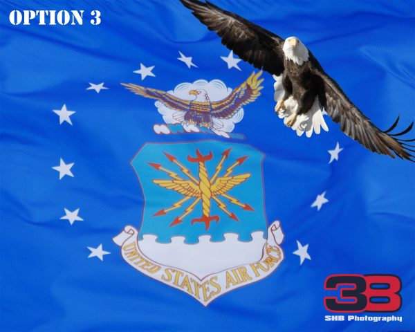 Patriotic/Military 14 - Image 3