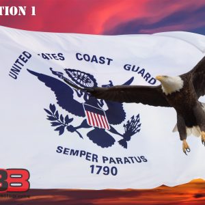 Patriotic/Military 15
