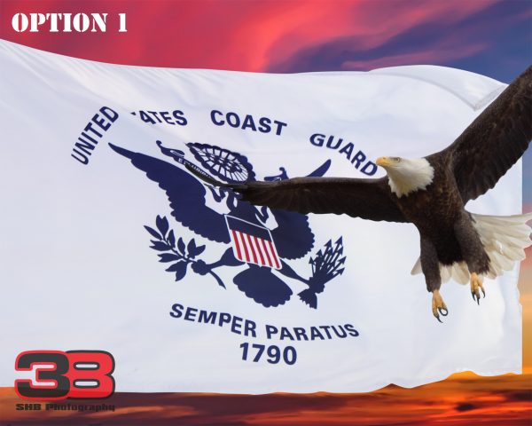 Patriotic/Military 15