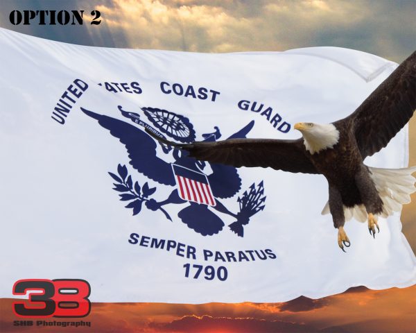Patriotic/Military 15 - Image 2