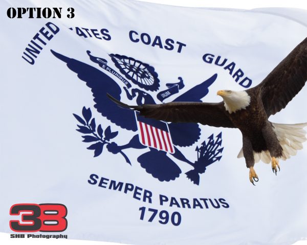 Patriotic/Military 15 - Image 3