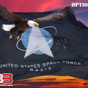 Patriotic/Military 16
