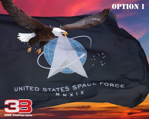 Patriotic/Military 16
