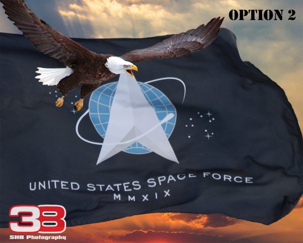 Patriotic/Military 16 - Image 2