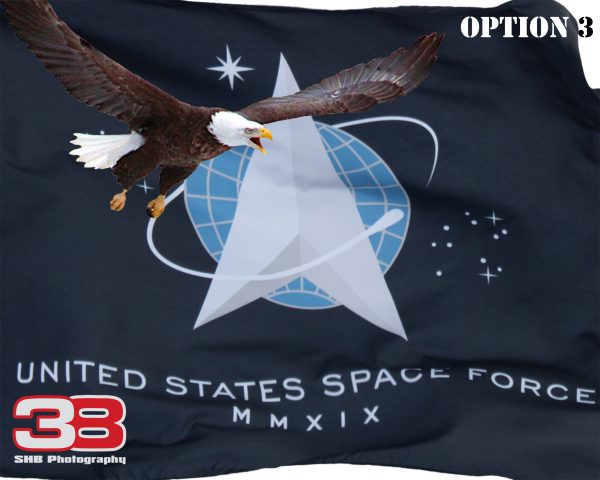 Patriotic/Military 16 - Image 3
